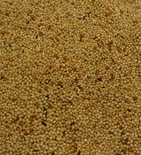 Colonel's Foreign Finch Bird Food Mix