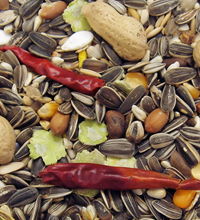 Colonel's Parrot Feast Bird Food