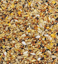 Colonels Supreme Wild Bird Food